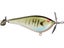 Brian's Prop Bee Propbaits