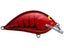 Cooked Crawdad