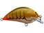 Hot Claw Crawdad