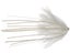 Brian Schmidt Luau Finesse Skirt Hub 2pk