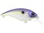 Berkley Shallow Money Badger 6.75 Crankbait