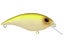 Berkley Shallow Money Badger 6.75 Crankbait