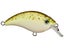 Bill Lewis ATV Squarebill 1.0 Crankbait