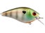 Booyah XCS1 Series Squarebill Crankbait