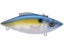 Duckett Baits Trap Lipless Crankbaits