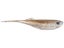 CAST Fishing Co. Echo 2.75" TW Ghost Shad