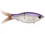 Clutch Eco Glide Bait 6.25"