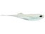 CAST Fishing Co. Echo