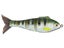 Catch Co. Weedless Baby Bull Shad Swimbait 4.5" 2pk