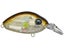 Damiki DC-100 Series Crankbaits