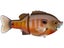 Deps Bullshooter 160 Glide Bait