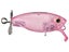 Deps Buzzjet Trout Model Wakebait