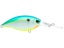 Citrus Shad