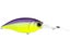 Purple Back Chartreuse 