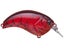 Hidden Red Craw