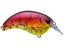 Red Craw Chart Belly
