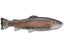 Defiant 210 Swimbait 8.25"