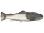 Defiant 210 Swimbait 8.25"