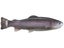 Defiant 210 Swimbait 8.25"