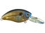 Livingston Howeller DMC Jr. TN Ghost Bluegill