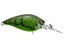 Green Crayfish 