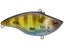 Deps MS Vibration RT Rattling Lipless Crankbait