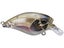 Duo Realis Mid Roller 40F Crankbait