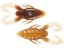 Duo Realis G-Fix T-Hog 5pk
