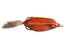 Deps Slither K Swampster