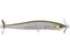 Ghost Minnow