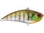 Ghost Gill
