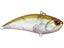 Ghost Minnow
