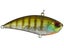 LG Ghost Gill