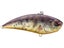 Tule Perch ND