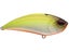 Tennessee Shad