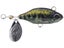 Duo Realis Spin