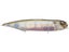 Megabass Dog-X Diamante Sonic Slide Walking Bait