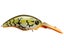 Evergreen Wild Hunch 5 Crankbaits