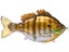 Fishlab Bio Gill Pro Swimbait