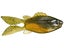 6th Sense FlipGill 3.8  4K Bluegill