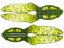 Nories FG Daddy Creature Bait 4.3" 4pk