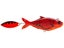 FMTC Tracer Shad