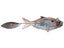 FMTC Tracer Shad