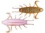 Geecrack Bugpee Creature Bait