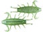 Geecrack Bugpee Creature Bait