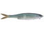 Grow Design Works Flag 170 Soft Glide Bait