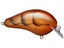 Orange Craw