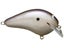 PG Shad