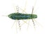 Geecrack Imo Kemushi 40 Float Weed Special 3pk