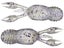 Great Lakes Finesse Micro Juvy Craw Tube 2"